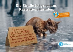 Kampagne_Katzenkastration bearb